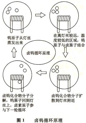 卤钨循环原理